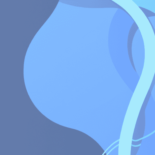 How Editing and Proofreading Improve Animal Protection Policies