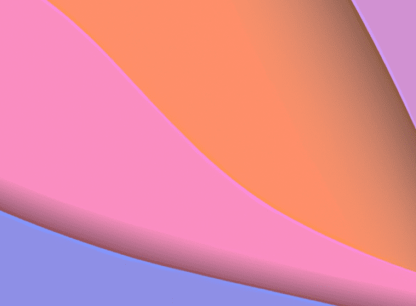 How Medical Translation Services Aid Animal Protection