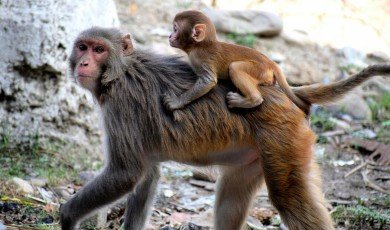 Sus vidas dependen de ti: descubre qué puedes hacer hoy